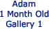 Adam
